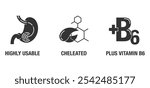 Magnesium supplement icons set - Highly Usable, Cheleated, Plus Vitamin D6. In monochrome style