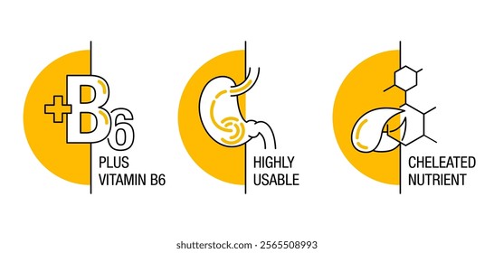 Magnesium supplement icons set - Highly Usable, Cheleated, Plus Vitamin D6. In semicircle shape