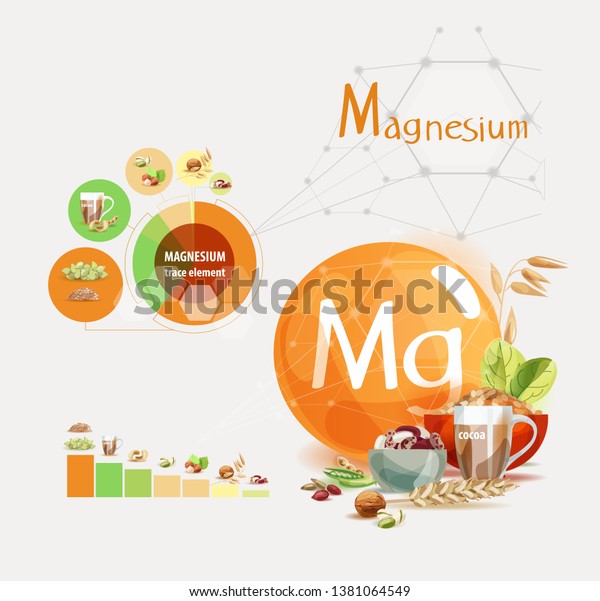 Magnesium Top Natural Organic Foods High Stock Vector ...
