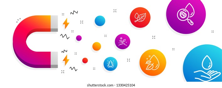 Magnet attracting. Leaf dew, Water drop and Grow plant icons simple set. Christmas tree, Water analysis signs. Serum oil, Leaves. Nature set. Line leaf dew icon. Editable stroke. Vector