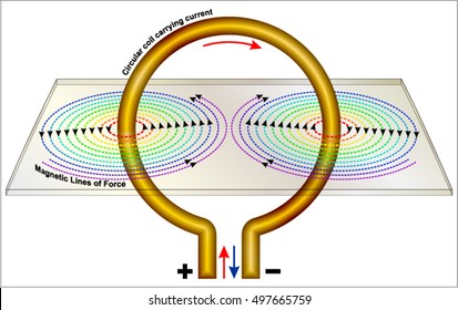 Magnetic Field due to a Current Carrying Circular Loop