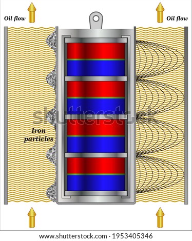 Magnetic filter showing pattern of flux distribution and the collected dirt