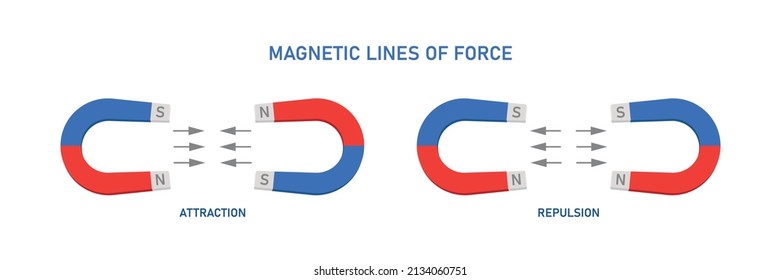 Magnetic Lines Force Education Vector Illustration Stock Vector ...