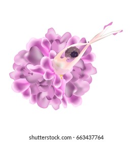 Magnificent ballerina vector illustration