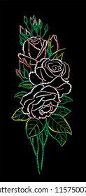 The magnificent roses isolated