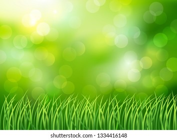 Magnificent spring background with green meadow. Vector illustration.