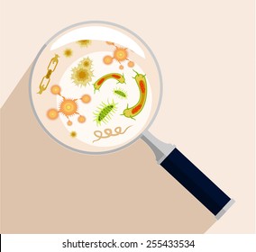 Magnifier and bacteria vector flat illustration