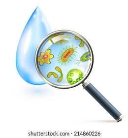 Magnifier and bacteria and virus cells in water drop vector illustration