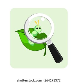 Magnifier and Caterpillar