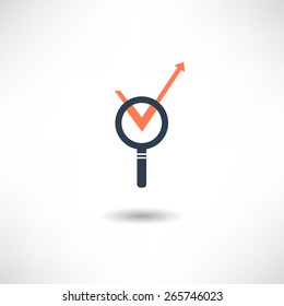 Magnifier icon
