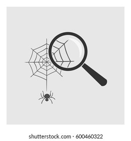 magnifier increased the fragment of spider webs
