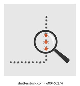 magnifier increased the track crawling beetles ladybug
