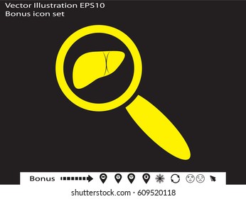 magnifier, liver, icon, vector illustration eps10