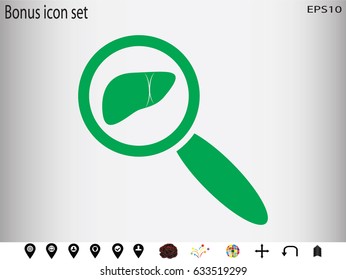 magnifier, liver, icon, vector illustration eps10