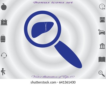magnifier, liver, icon, vector illustration eps10