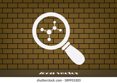 Magnifier, molecule icon vector