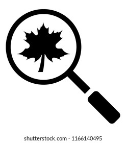 
Magnifier over plant, plant search
