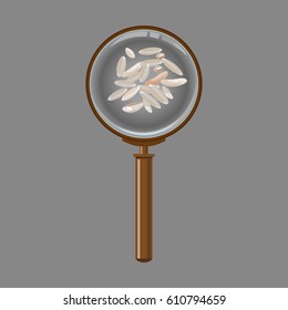 Magnifier with rice grains. Vector illustration