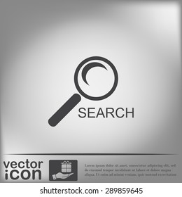 magnifier search