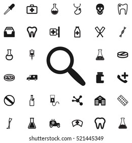 magnify icon