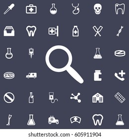 magnify icon