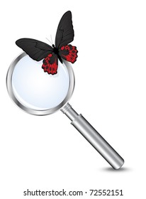 Magnifying glass with butterfly