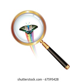 Magnifying glass  and butterfly isolated on white background, vector object