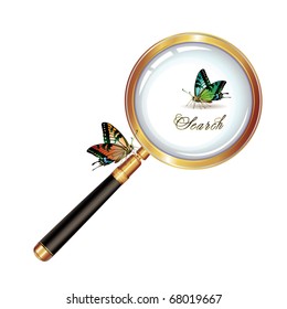 Magnifying glass and butterfly isolated on white background, vector object