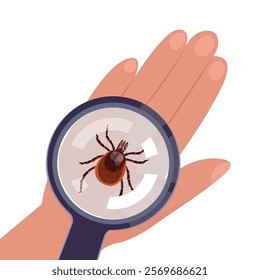 magnifying glass enlarges tick insect on hand on hand on white background. Top view. Vector.