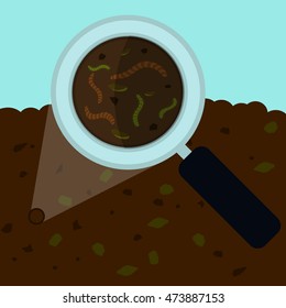 Magnifying glass enlarging the worm and other small body on the earth.