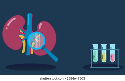 Magnifying glass inspecting kidneys with test tubes, symbolizing medical examination, diagnostics, and healthcare research