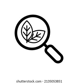 magnifying glass with leaf icon vector