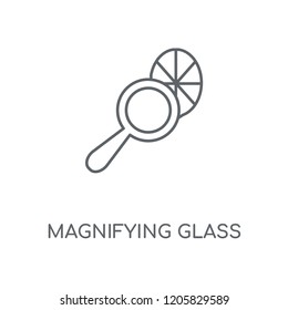 Magnifying glass linear icon. Magnifying glass concept stroke symbol design. Thin graphic elements vector illustration, outline pattern on a white background, eps 10.