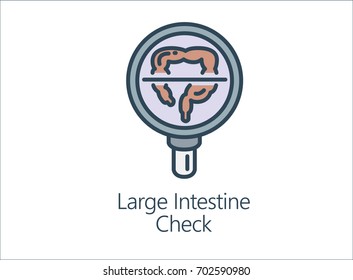 Magnifying glass looking human large intestine. Illustration Icon about health check up for diagnose disease.