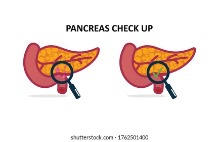 Magnifying glass looking human pancreas. Illustration Icon about health check up for diagnose disease.