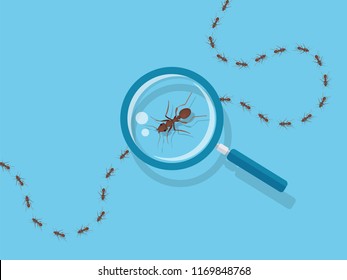 Magnifying glass with marching ants over blue background. Vector flat illustration.