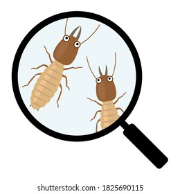 Magnifying glass observing termites. Insect magnification cartoon illustration.