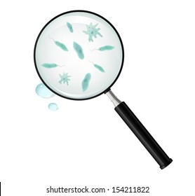 Magnifying glass and protozoa in the blob