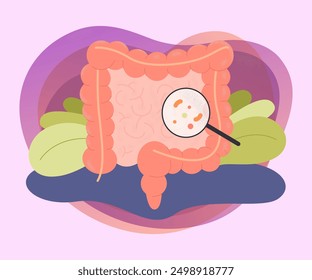 Magnifying glass showing bacteria in bowel. Examining or checking intestines or colon, digestive system flat vector illustration. Health, medicine concept for banner or landing page