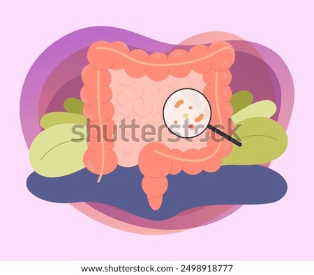 Magnifying glass showing bacteria in bowel. Examining or checking intestines or colon, digestive system flat vector illustration. Health, medicine concept for banner or landing page