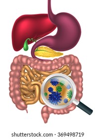 infección intestinal viral infección intestinal viral