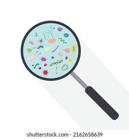 Magnifying Glass Showing a Microbiome