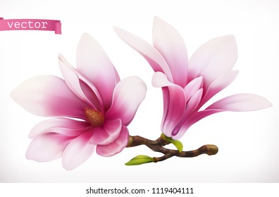 Magnolia. 3d realistic vector icon