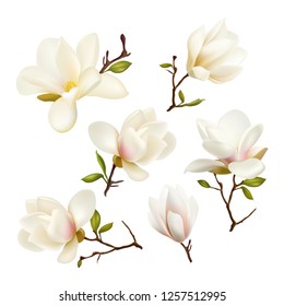Magnolia. Beautiful.
Gentle. Spring Flower. Wedding card
Happy Mother's Day. Greeting card. holiday background. Trendy Design Template. Vector illustration. Springtime.