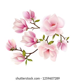 Magnolia. Beautiful.
Gentle. Spring Flower. Wedding card
Happy Mother's Day. Greeting card. holiday background. Trendy Design Template. Vector illustration. Springtime.