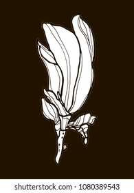 Magnolia black background outline