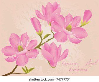magnolia blossom background