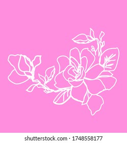 Magnolia blossom and buds outline on light pink background pattern vector illustration graphics
