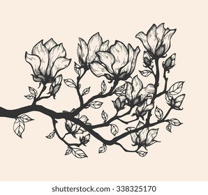 Magnolia blossom tree branch. Floral engraving. Vector flowers. Hand drawn artwork. Love bohemia concept for wedding, bridal invitation, card, ticket, branding, boutique logo, label. Grey, beige color