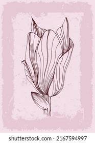 Magnolia Botanical wall art tropical illustration. Foliage line art drawing with retro and abstract shape. Grunge Plant Art design for print, cover, wallpaper, Minimal and natural wall art.